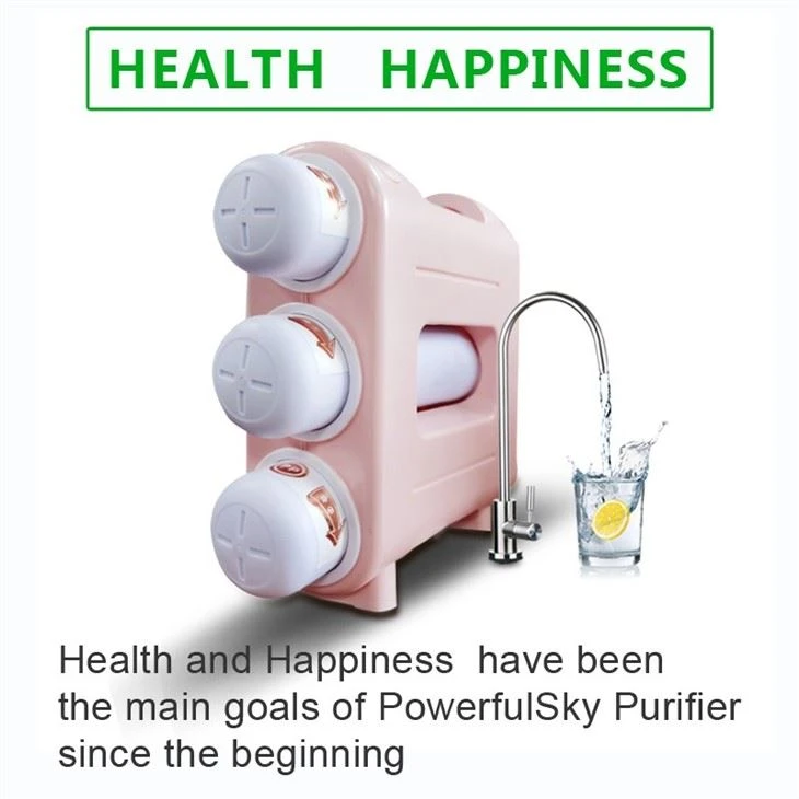 whole house water filter